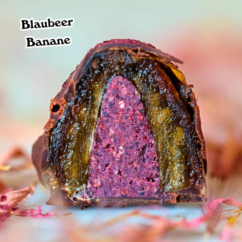 Dattelpralinen: Mixpack (Bio) - Dattellia | Beste Datteln Qualität