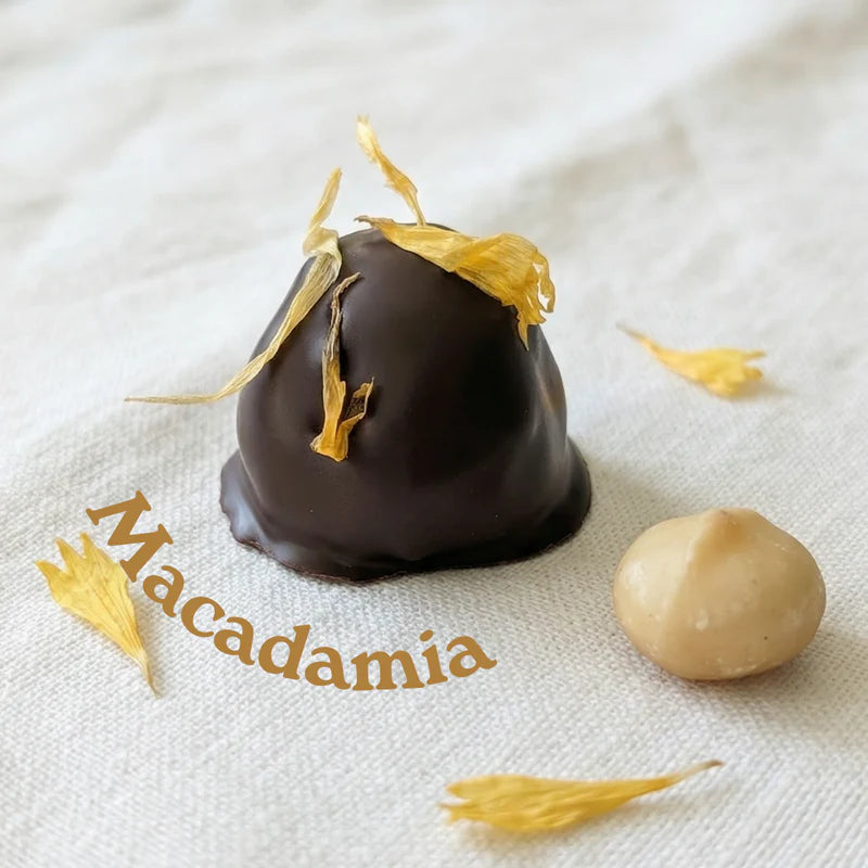 Dattelpralinen: Flower Box (Bio) - Dattellia | Beste Datteln Qualität
